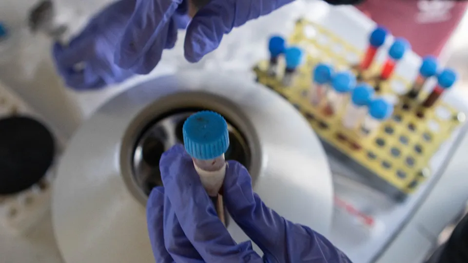 WhatsApp Image 2025-04-24 at 8.58.39 AM