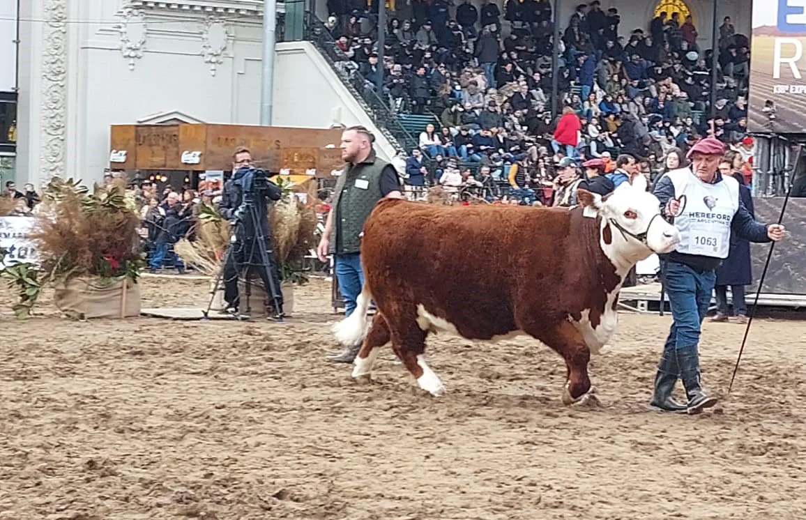 LA CENTELLA