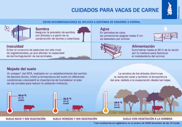 vacas_cuidados