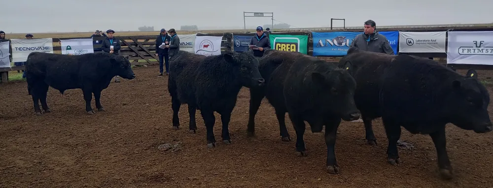 IMG_20240806_105618061_HDR