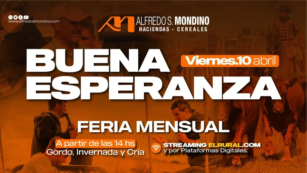 WhatsApp Image 2026-04-06 at 10.28.11 AM