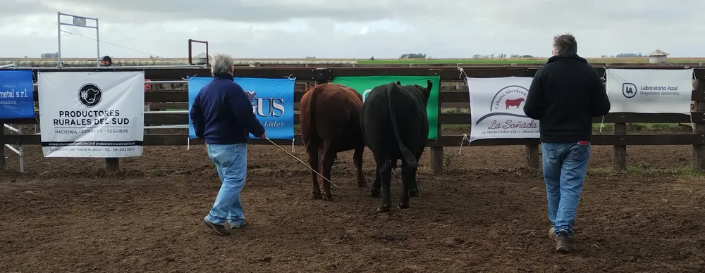 IMG_20240409_095141189