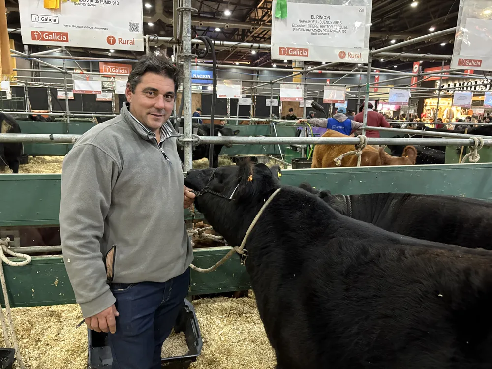 EZEQUIEL LOPEPE - EL RINCON - ANGUS