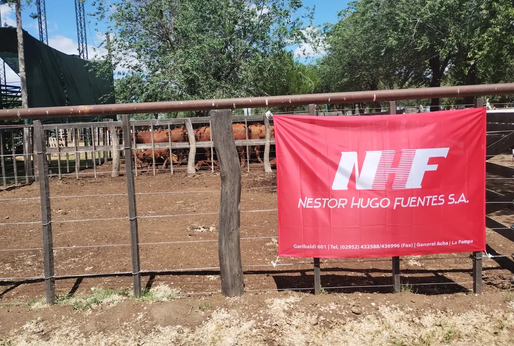 CALDENAL PAMPEANO - NH FUENTES SA