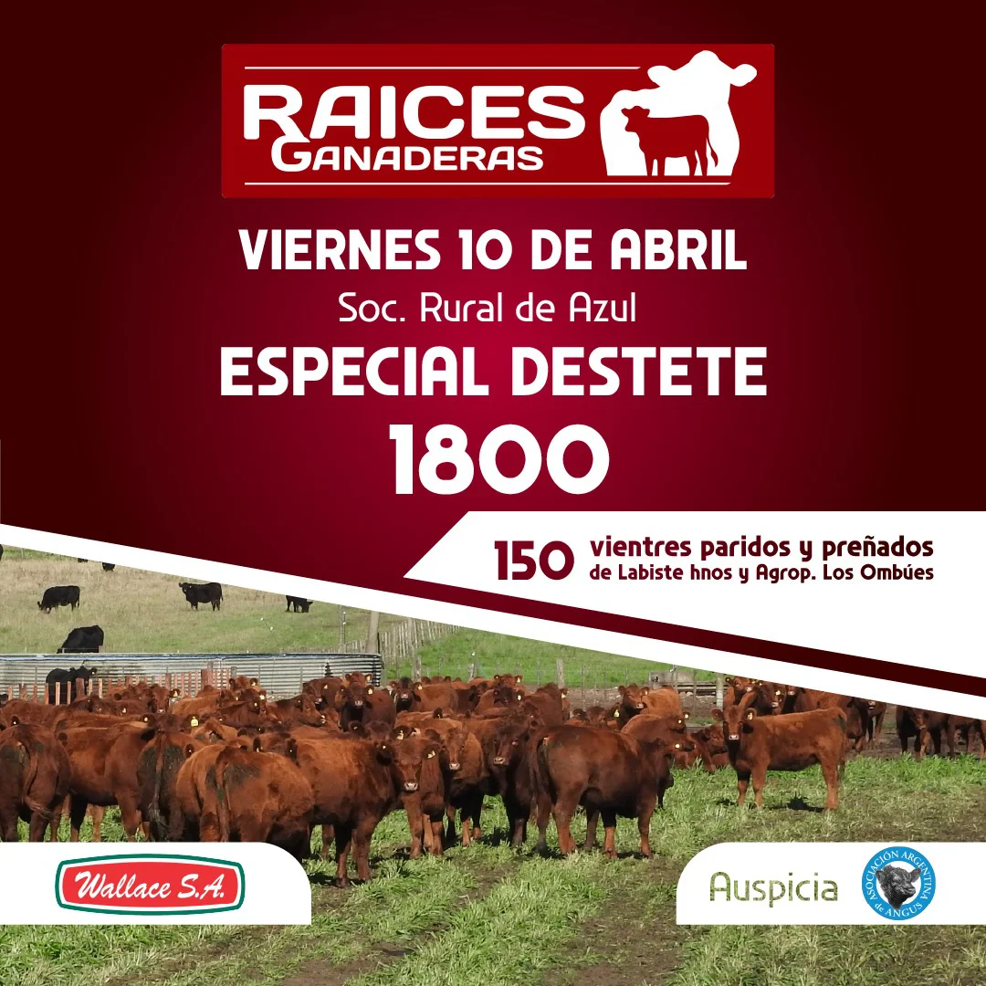 WhatsApp Image 2026-04-06 at 12.39.58 PM