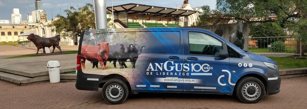 ANGUS9