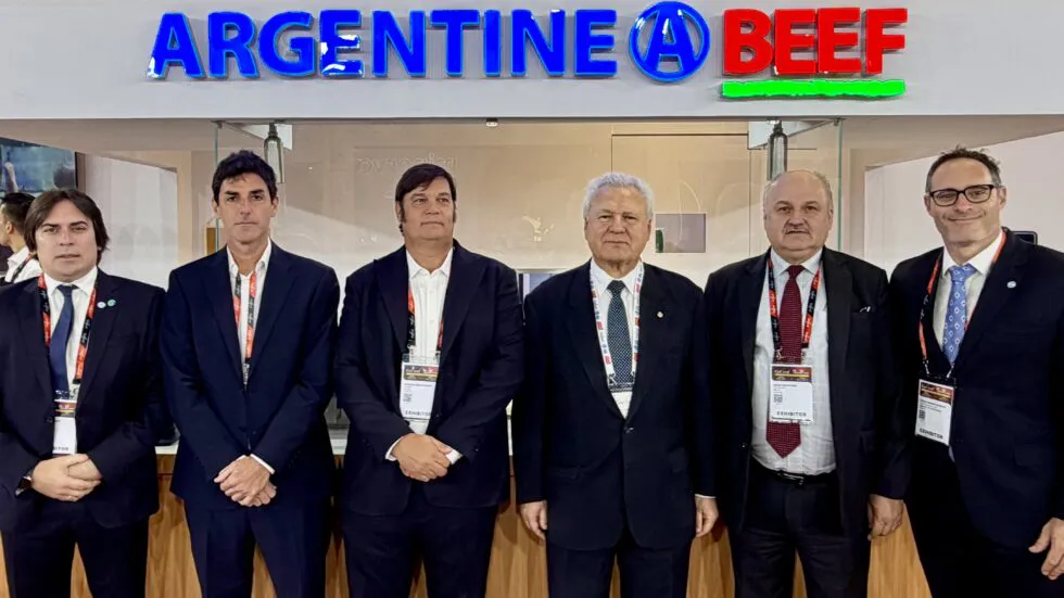 IMG_7649.JPG-980x551