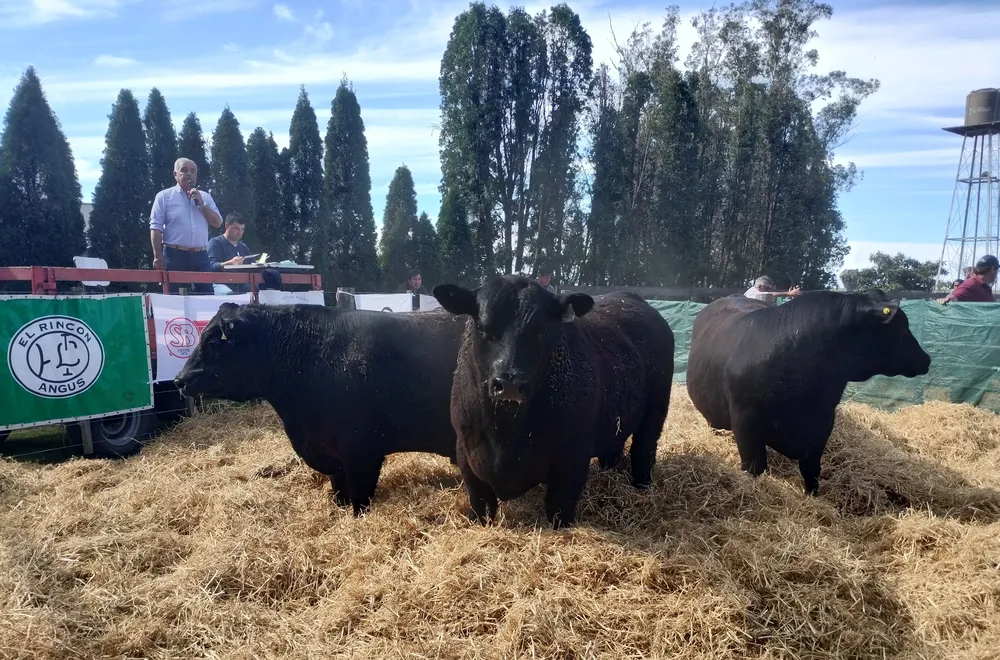 EL RINCON DE LOPEPE - REMATE ANUAL