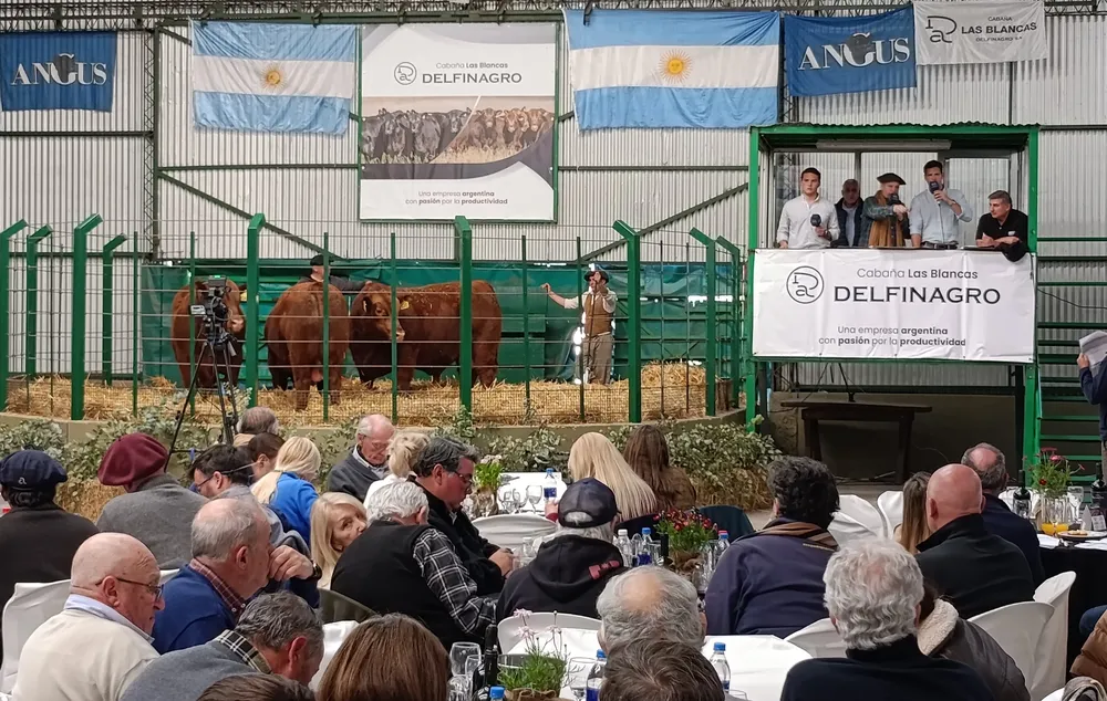 REMATE DELFINAGRO