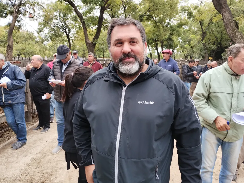 VICENTE MAMMOLITI