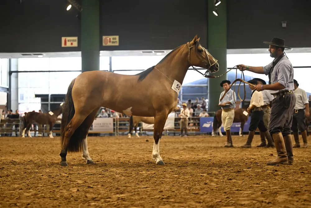 FOTO-DE-PORTADA-106-scaled