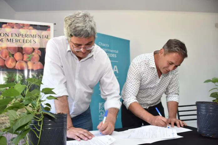 javier-rodriguez-firma
