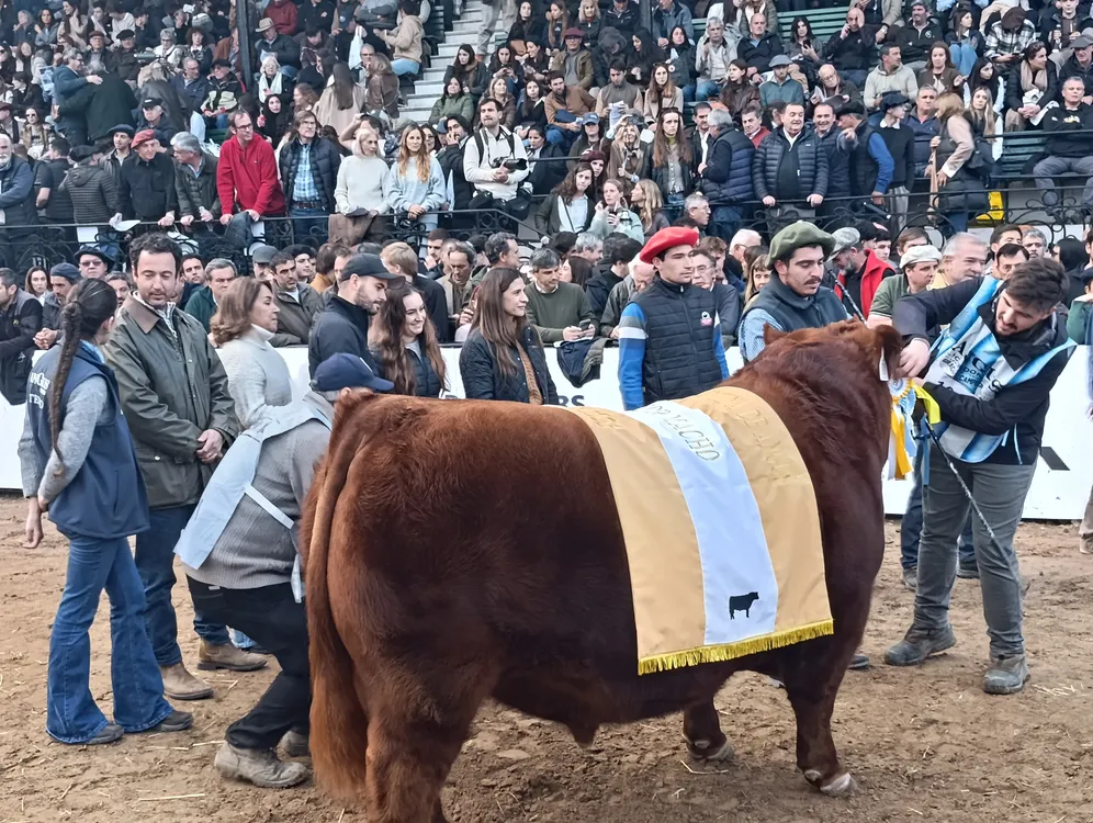 ALVARO8
