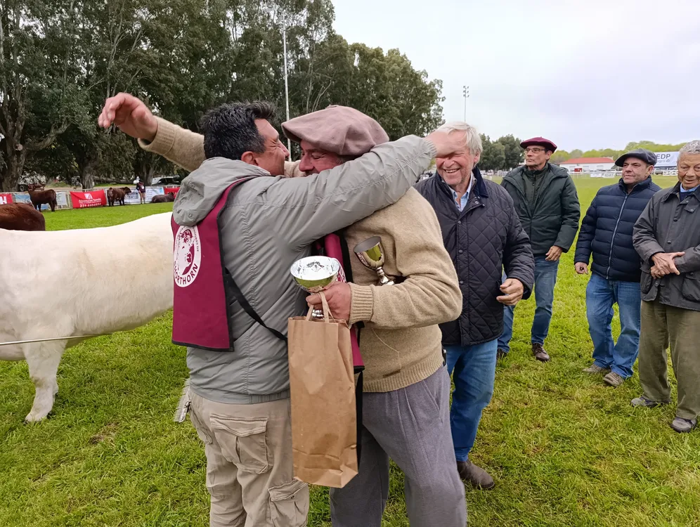 SHORTHORN