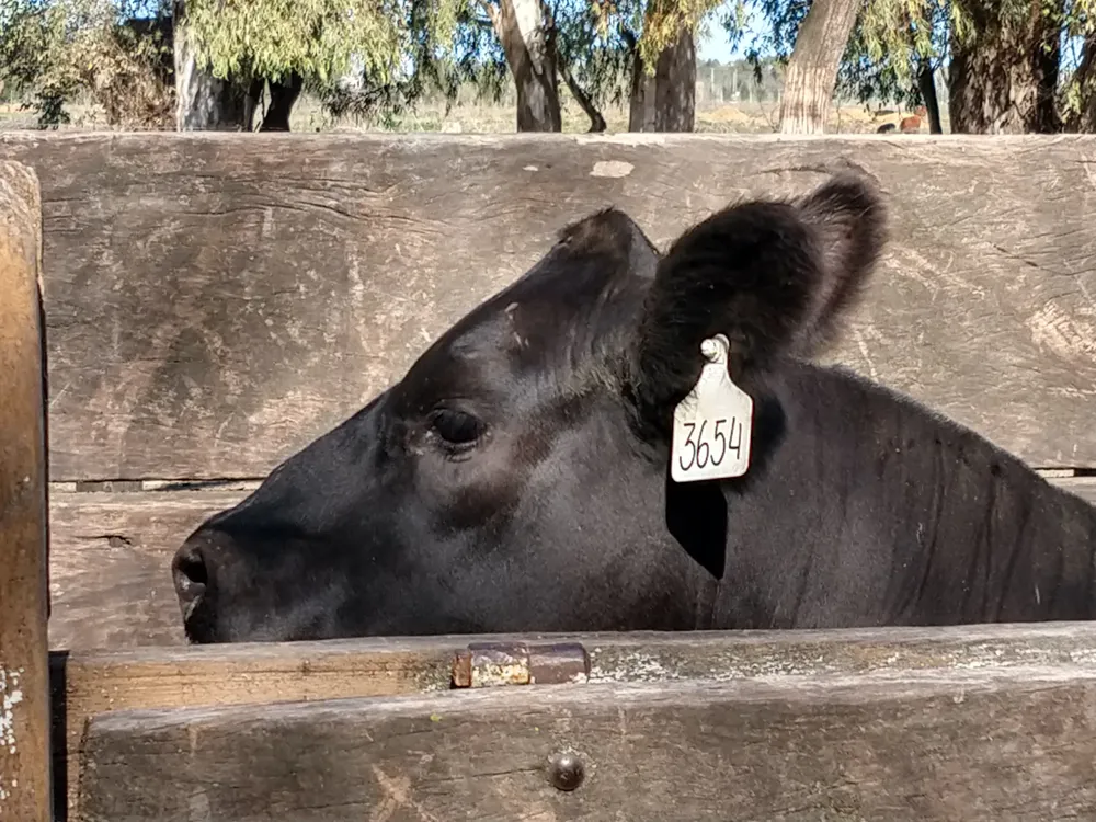 IMG_20230918_102414020_HDR