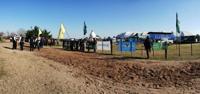 tn_IMG_20240711_113807863