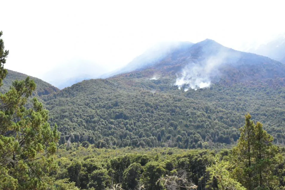 67b7c79caa9ff_954_636!