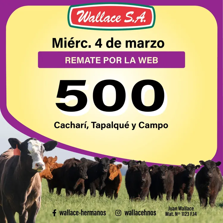 WhatsApp Image 2026-02-10 at 10.53.06 AM