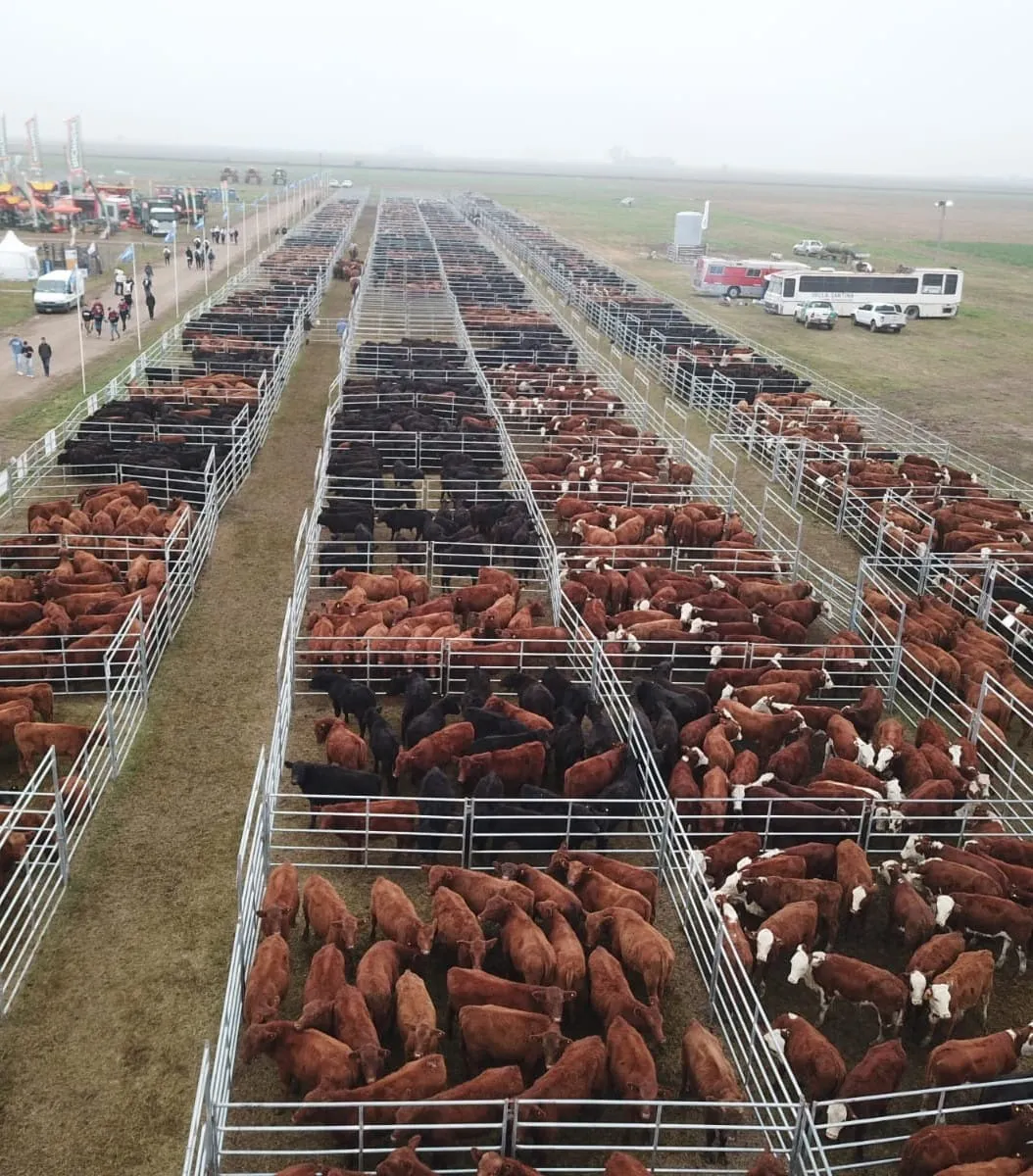 WhatsApp Image 2024-03-22 at 13.05.18