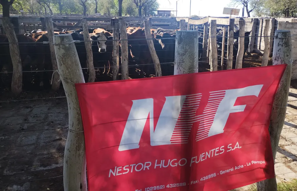 NHF FUENTES - HERRADURA GENERAL ACHA