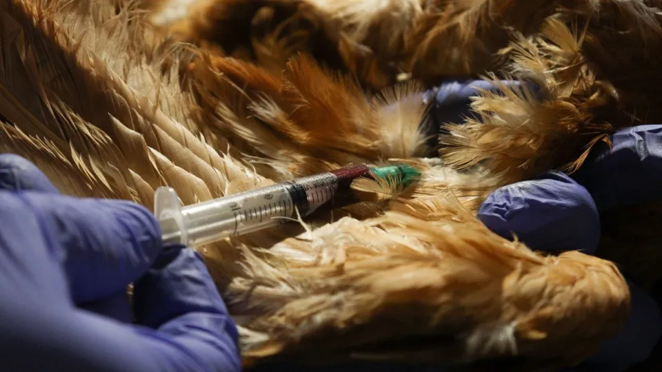 WhatsApp Image 2026-01-16 at 9.18.05 PM