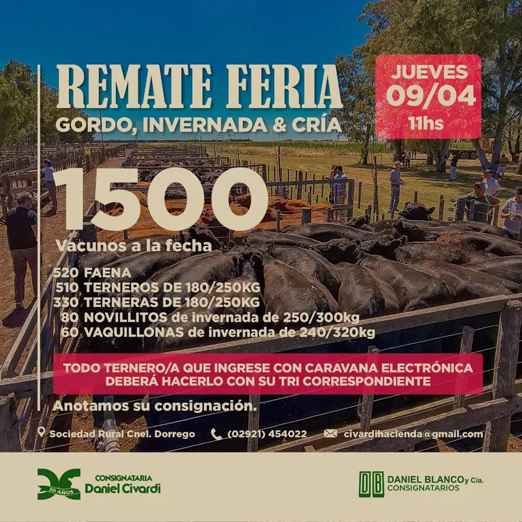 WhatsApp Image 2026-04-06 at 1.48.29 PM