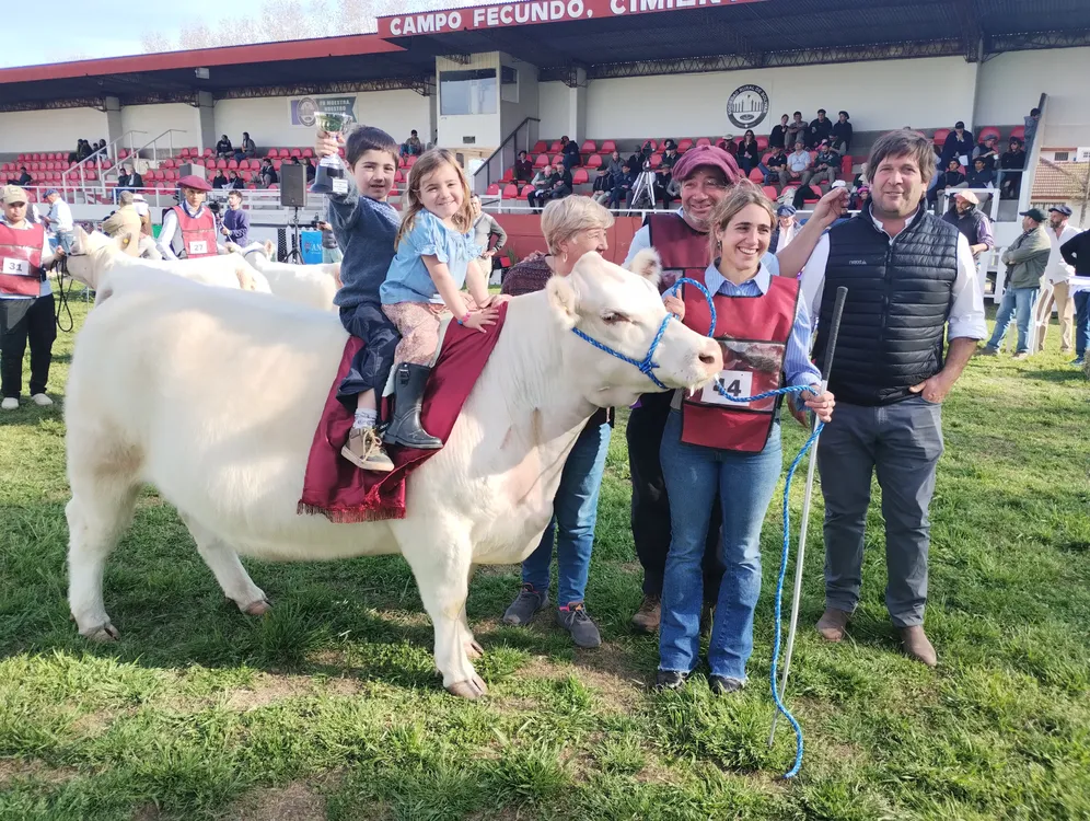 SHORTHORN BOLIVAR NACIONAL