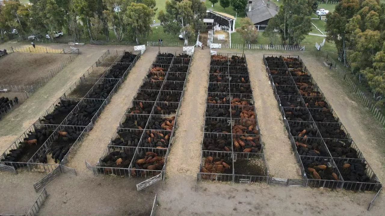 TRES ARROYOS RUSTICOS