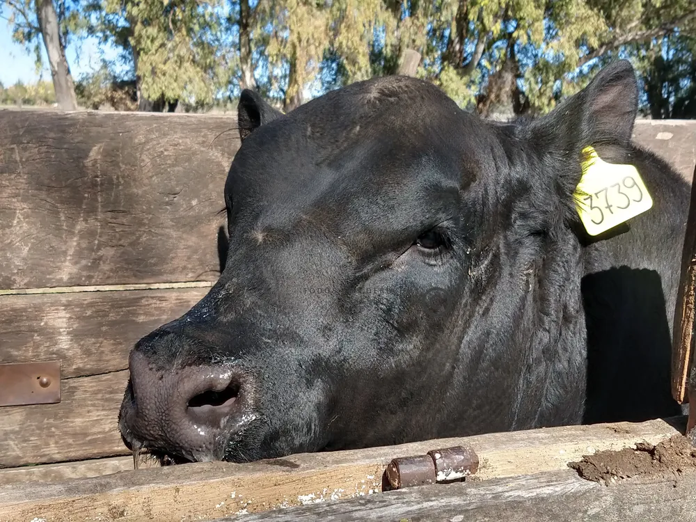 IMG_20230918_103458355_HDR