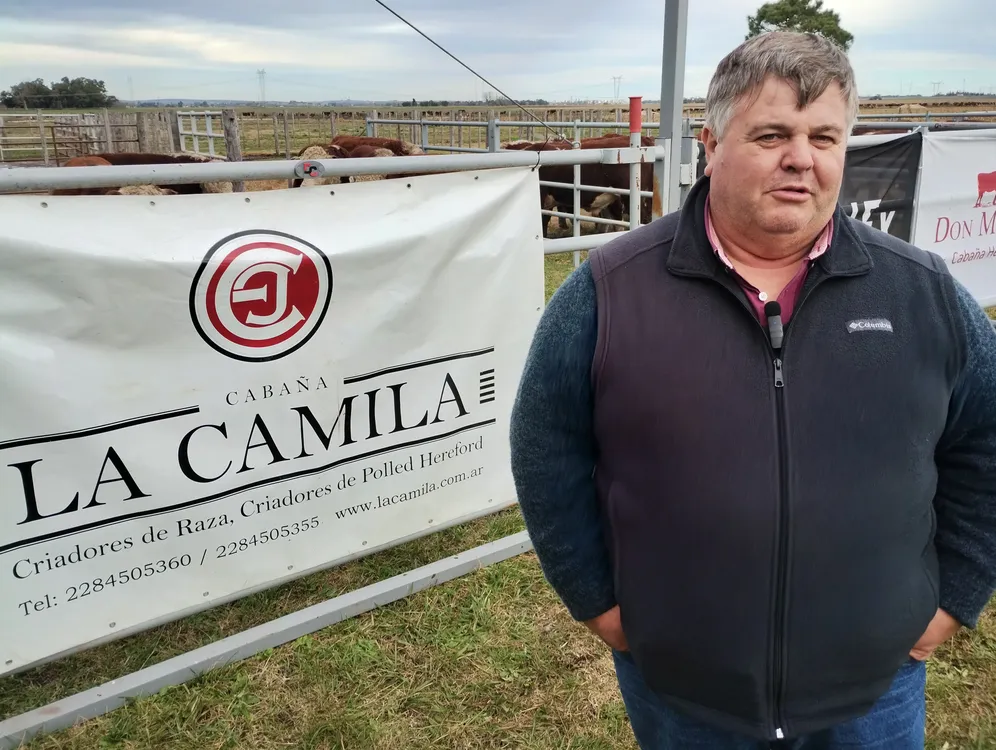 FERNANDO CASTILLO