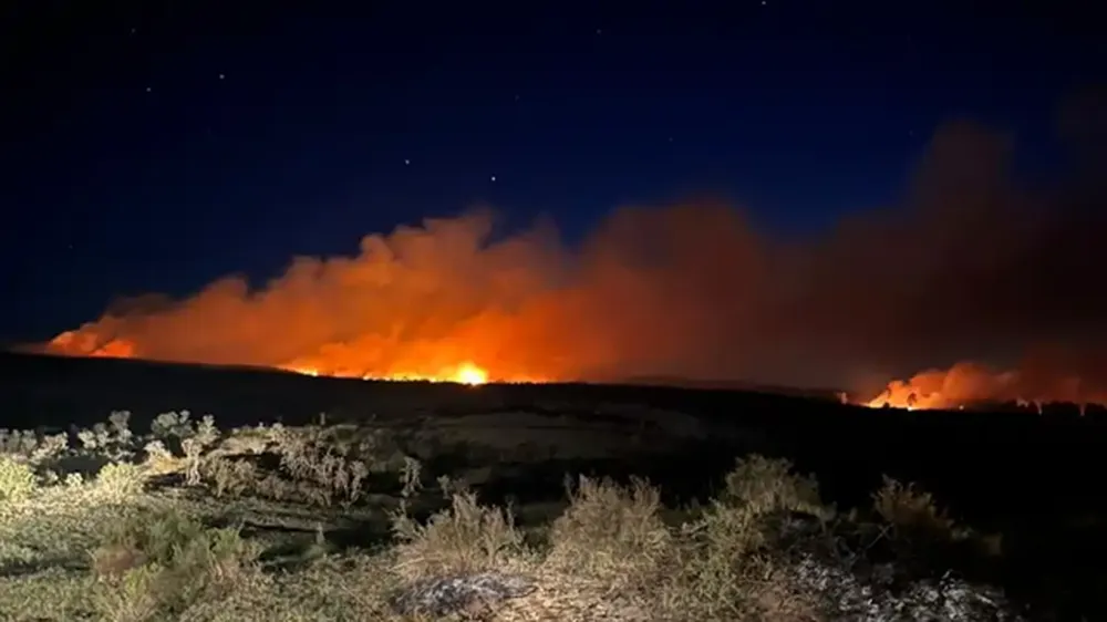incendio-coronel-dorrego
