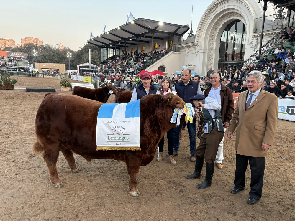 LOS PIRULOS - LEO HERNANDEZ - LIMANGUS