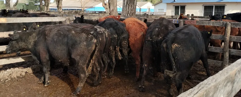 IMG_20240718_150933433_HDR