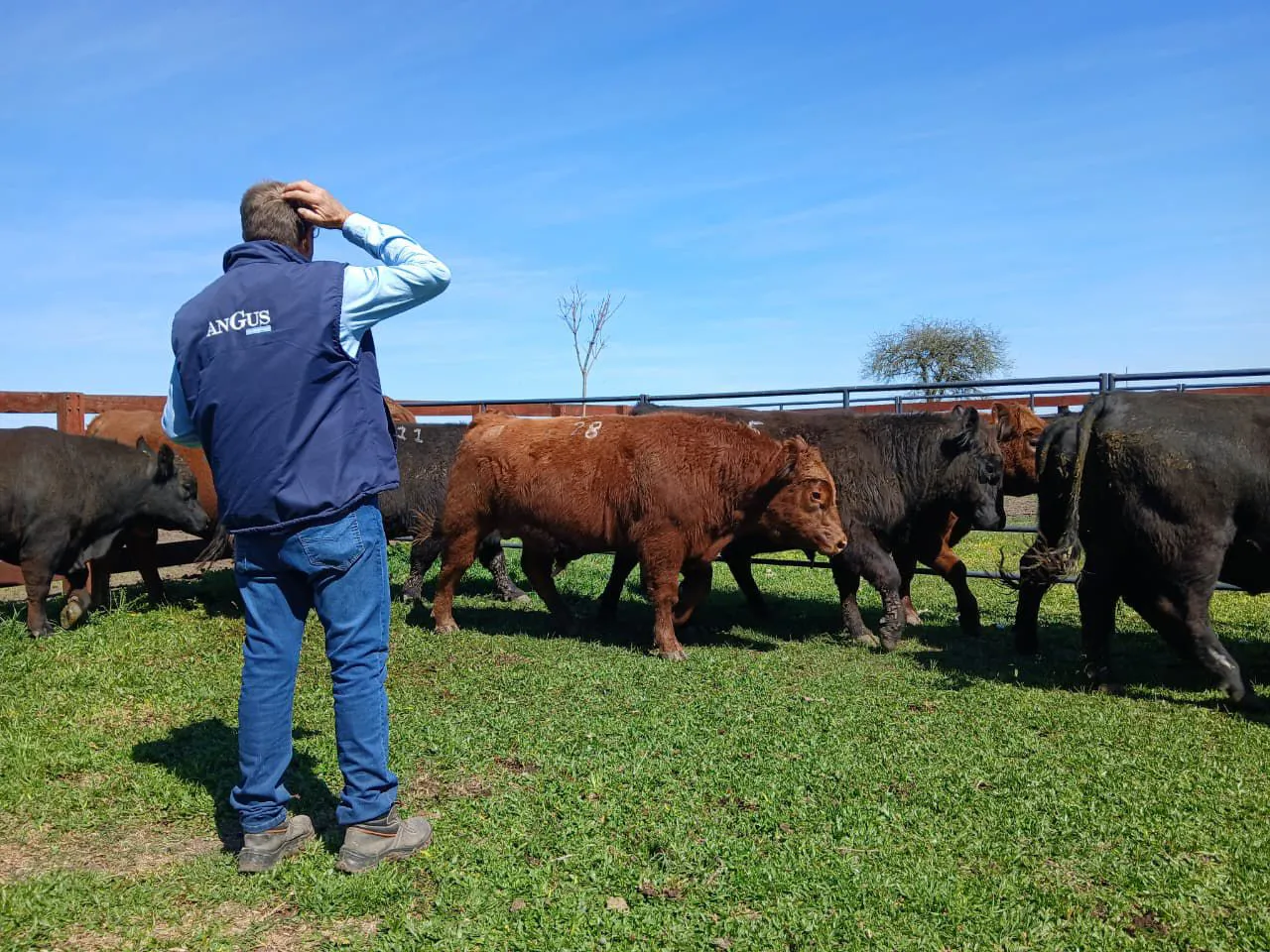 WhatsApp Image 2025-09-13 at 6.40.47 PM