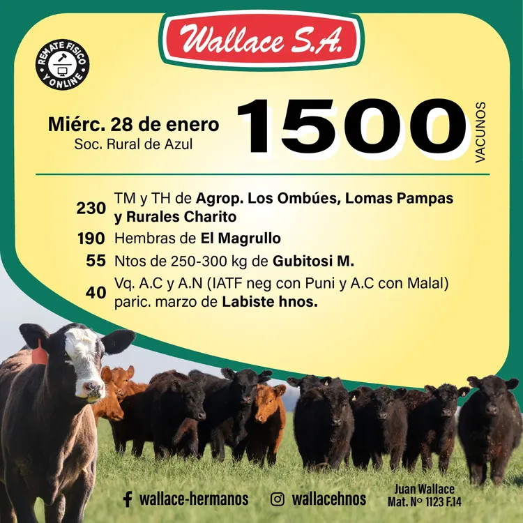 WhatsApp Image 2026-01-20 at 10.03.14 AM