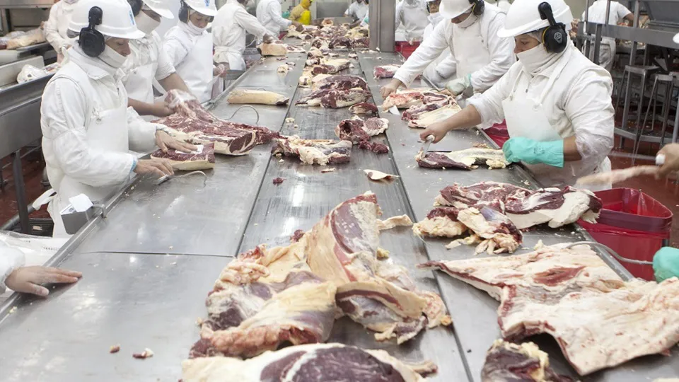 WhatsApp Image 2025-03-18 at 10.27.44 AM