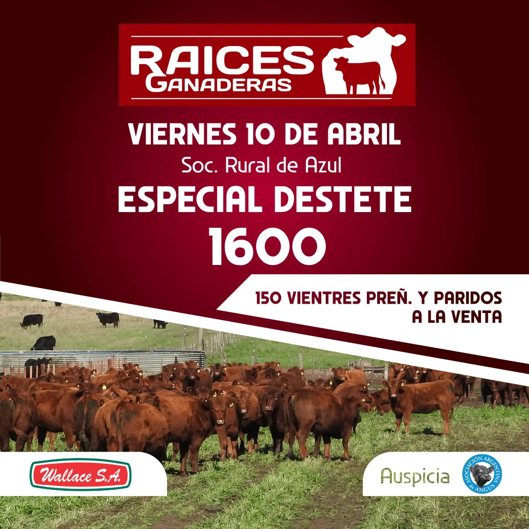 WhatsApp Image 2026-04-01 at 6.03.05 PM