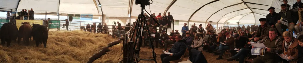 IMG_20240711_151825915