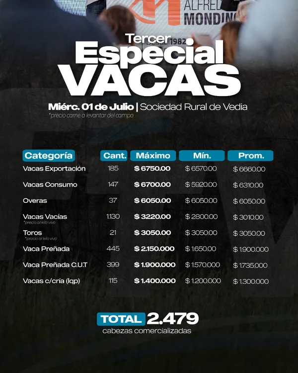 VEDIA1