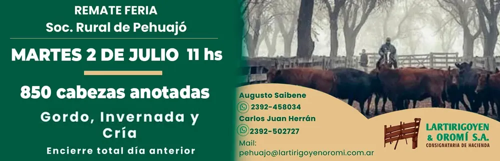 LARTIRIGOYEN Y OROMI