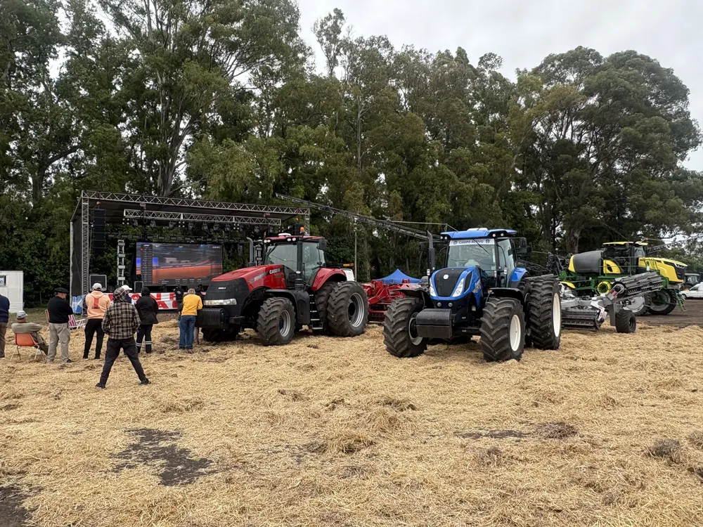 FIESTA DEL CHACARERO CHILLAR