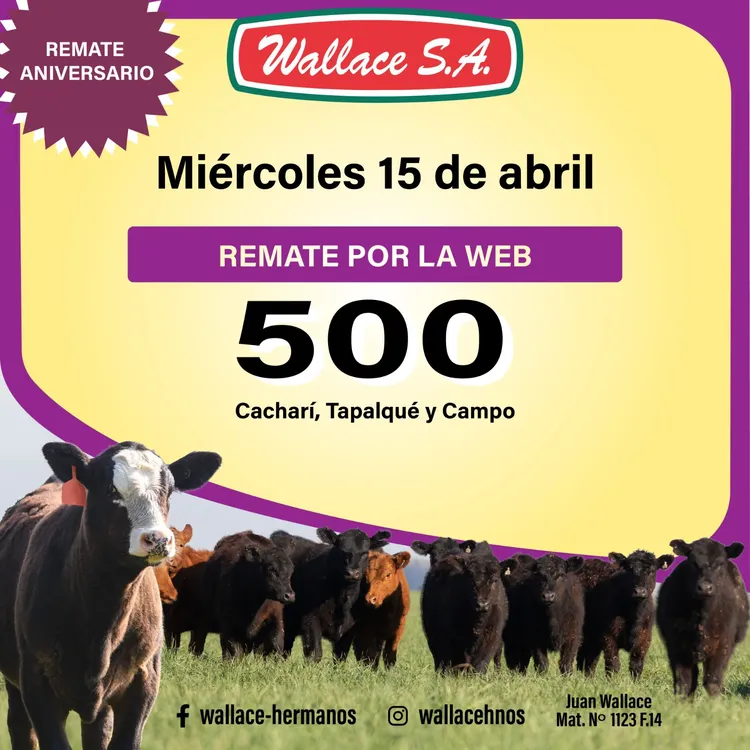 WhatsApp Image 2026-03-12 at 10.16.38 AM