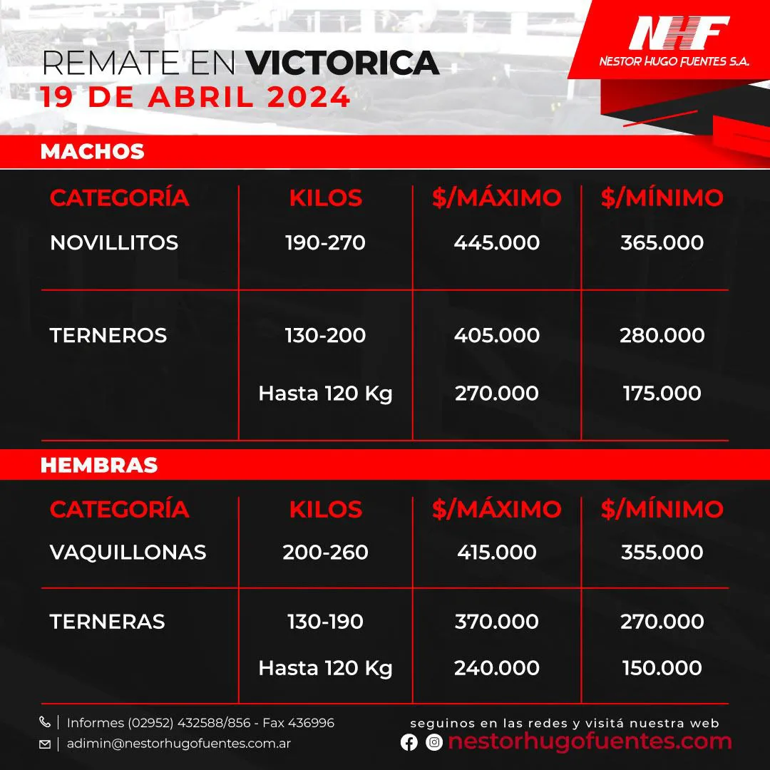 VICTORICA 19-4